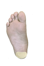 Kidney Pad J-15 / Kidney Pad J-16 — Dr. Jill’s Foot Pads