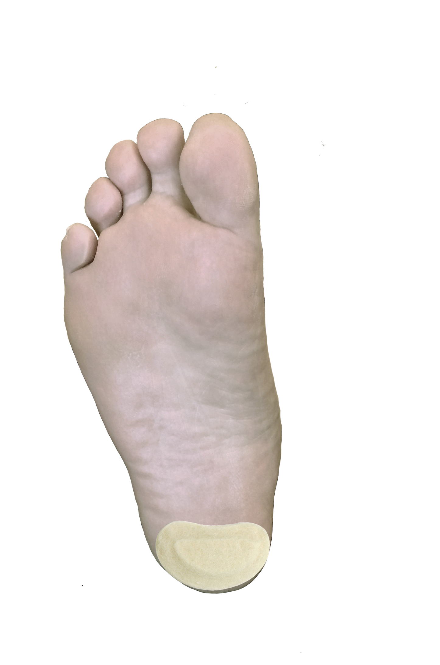 Kidney Pad J-16