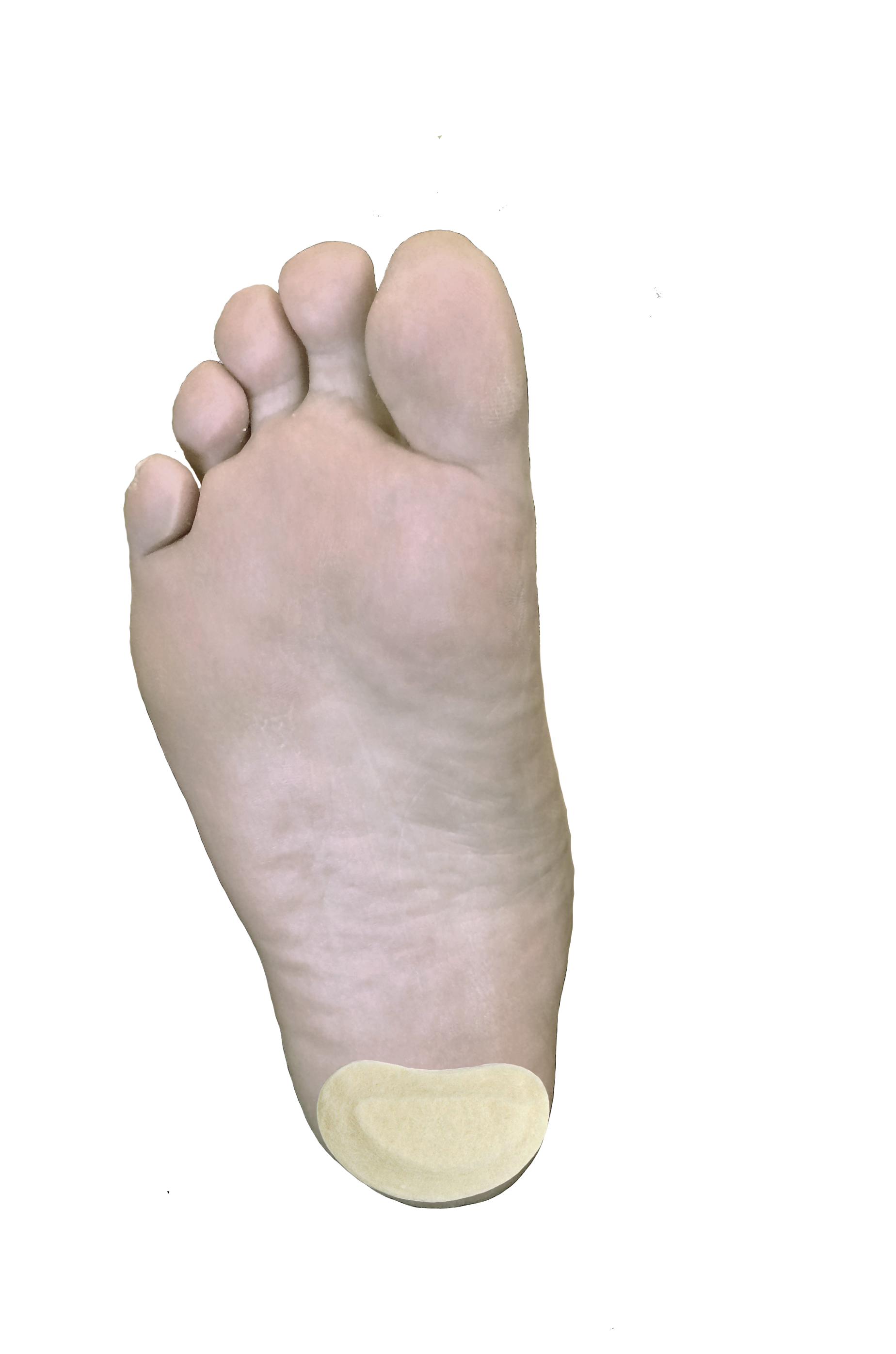 Kidney Pad J-15 / Kidney Pad J-16 — Dr. Jill’s Foot Pads