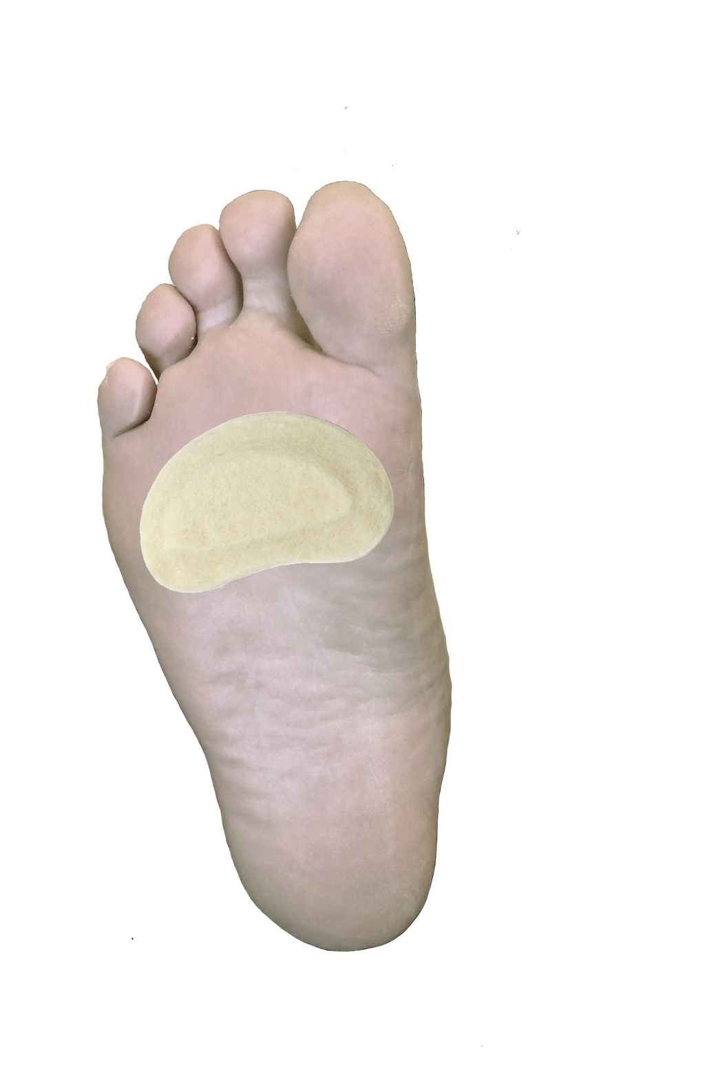Kidney Pad J-15 / Kidney Pad J-16 — Dr. Jill’s Foot Pads