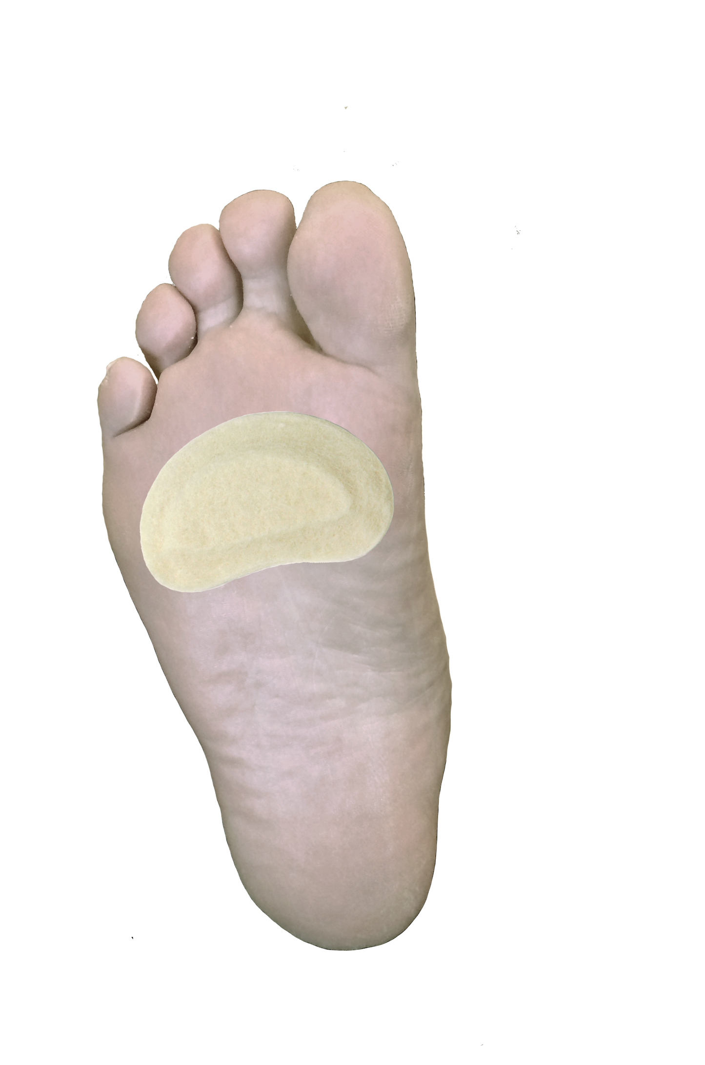 Kidney Pad J-16