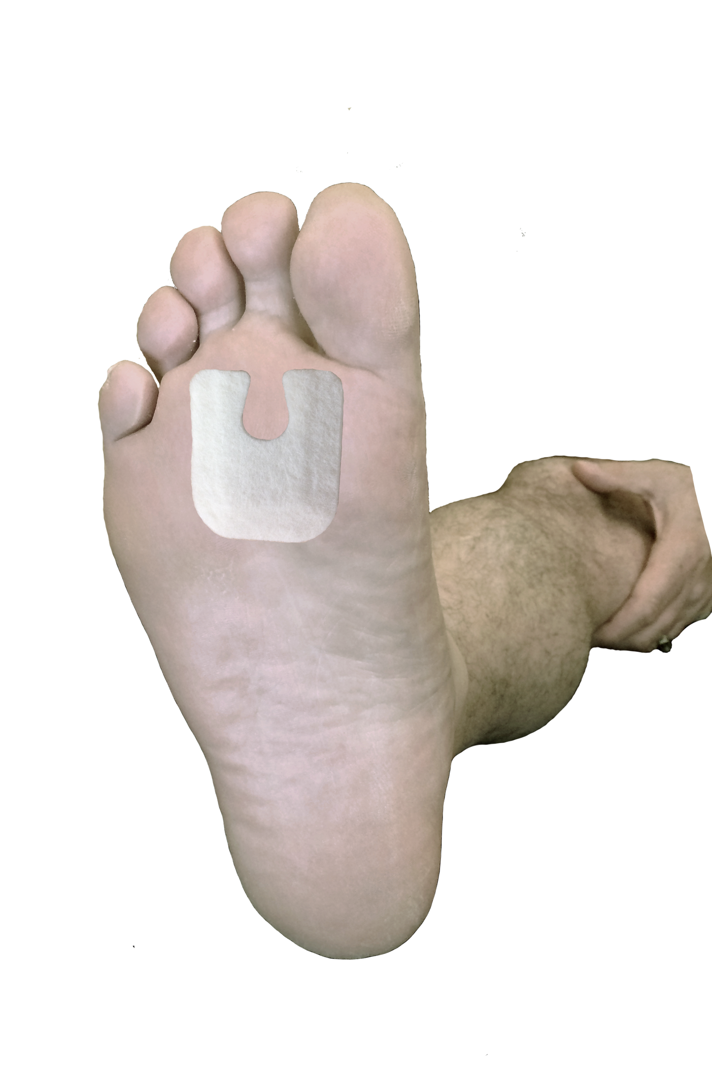 Callus / Lesion Pad J-18