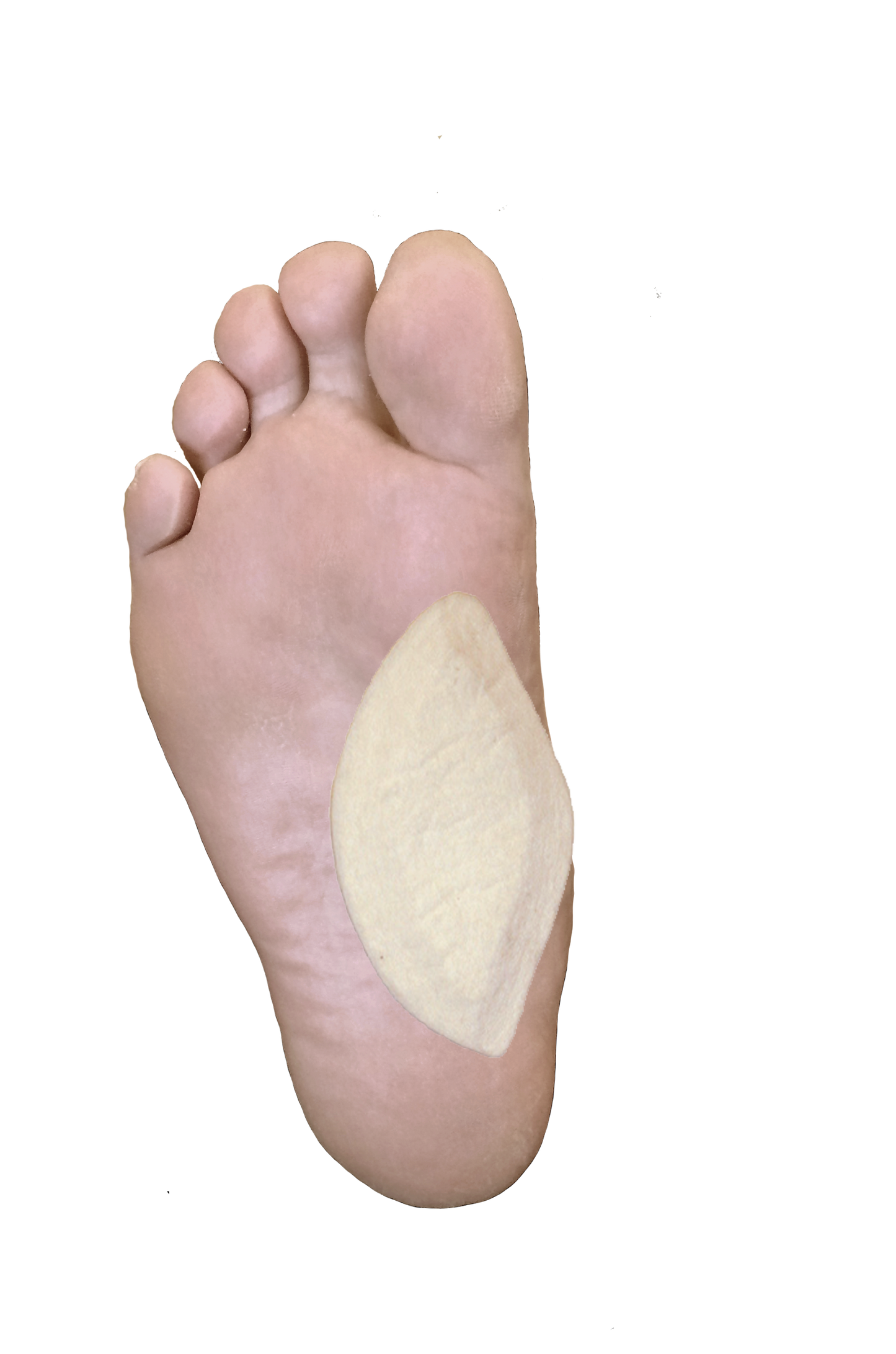 Arch Pad - Medium - J-24