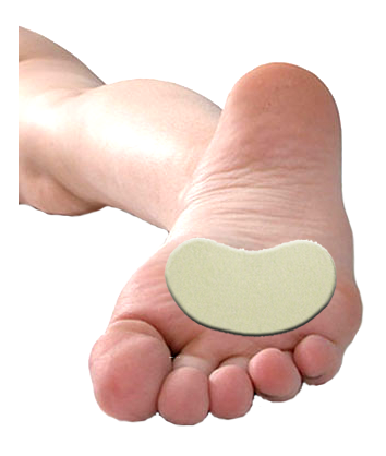 Kidney Pad J-16